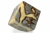 Wide, Polished Septarian Cube - Utah #241950-1